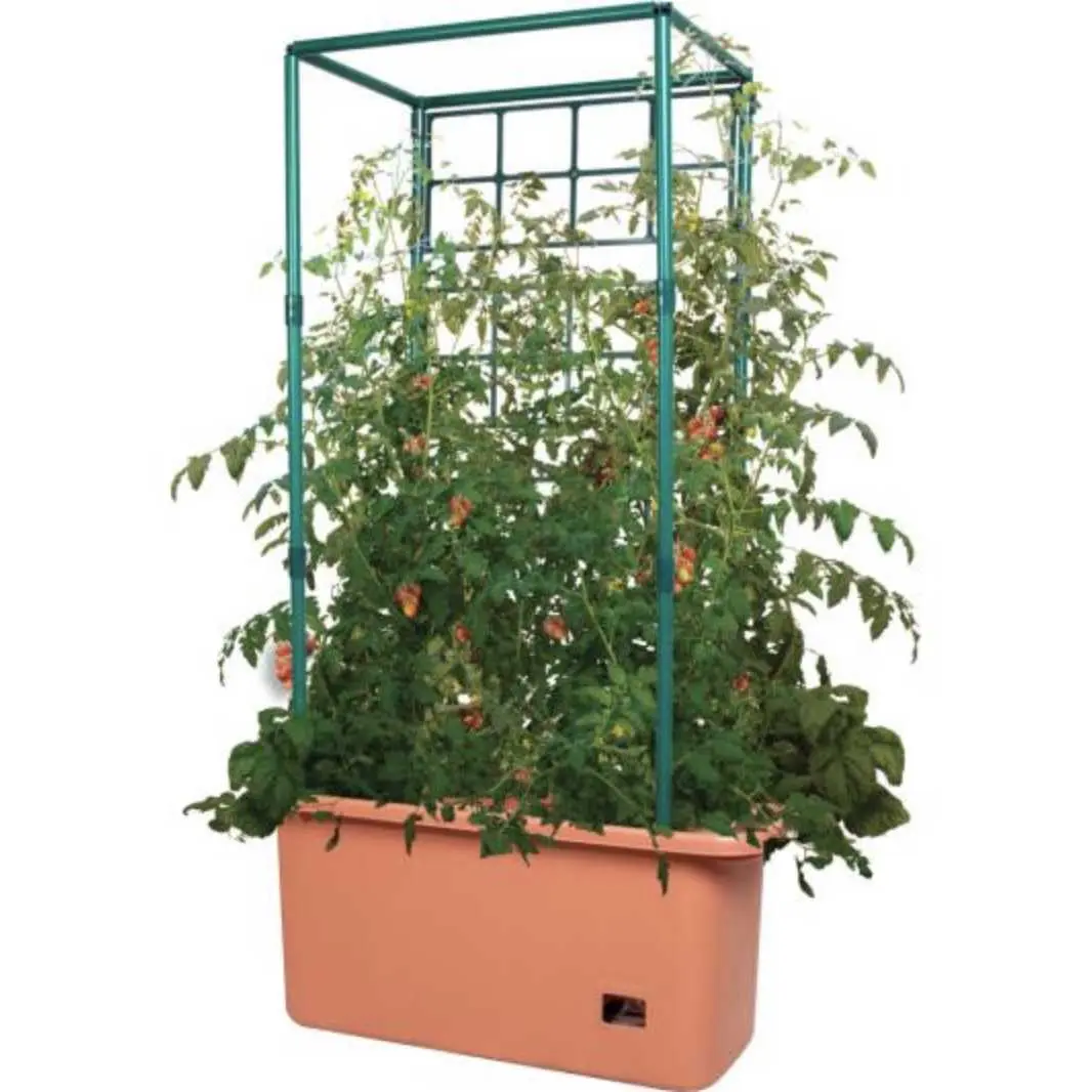 Hydrofarm Tomato Trellis Auto-Water Garden on Wheels