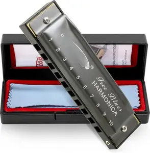 Deluxe Harmonica Key of C, 10 Holes 20  Mouth Organ Diatonic Blues Harmonica For Adults, Beginners, Professionals and Students, as a GiftSilver grey
