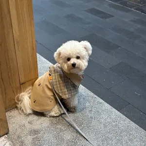 Dog Trench Coat with Bee Embroidery, Stylish Plaid Collar Pet Jacket, Leash Ring Included for Small Dogs