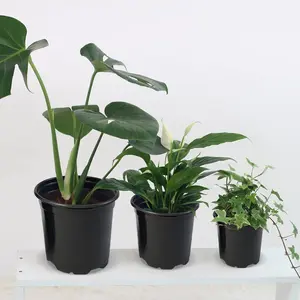 100 Pack Nursery Pots, 4 5 6 Inch Nursery Pot for Plants, Plastic Plant Pots with Drainage Holes