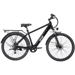 Accord Electric Bike