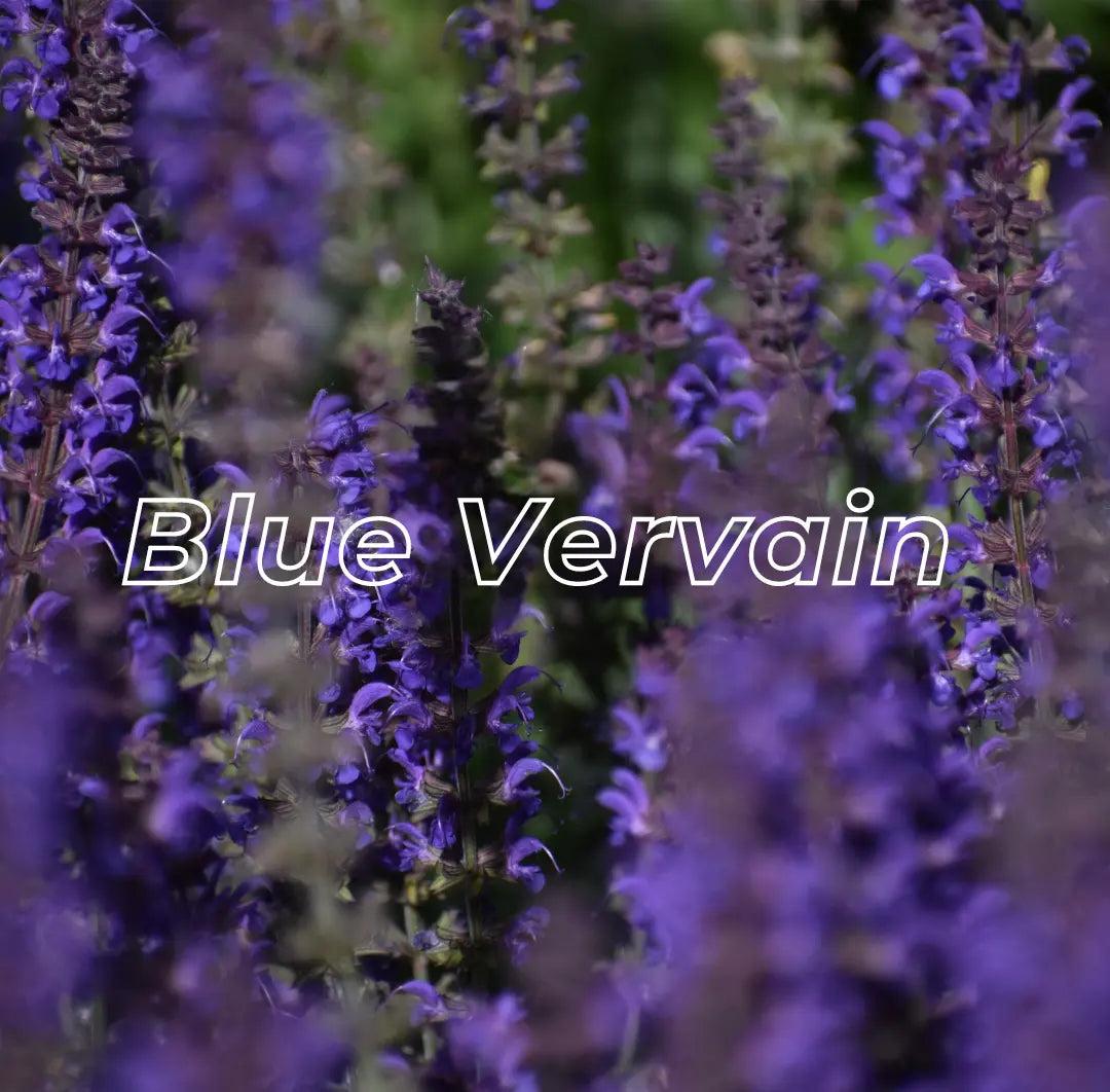 Exfoliating Scalp Scrub