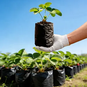 Plastic Plant Grow Bags, Planting Bags, Drainage Holes & Breathable Bottom, Lightweight Durable Tree & Seedling Pots, Indoor/outdoor Use