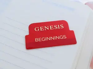 Red Transparent Bible Tabs with Gold Letters Books of the Bible English Bible Tabs Peel and Stick Christian Book Themes