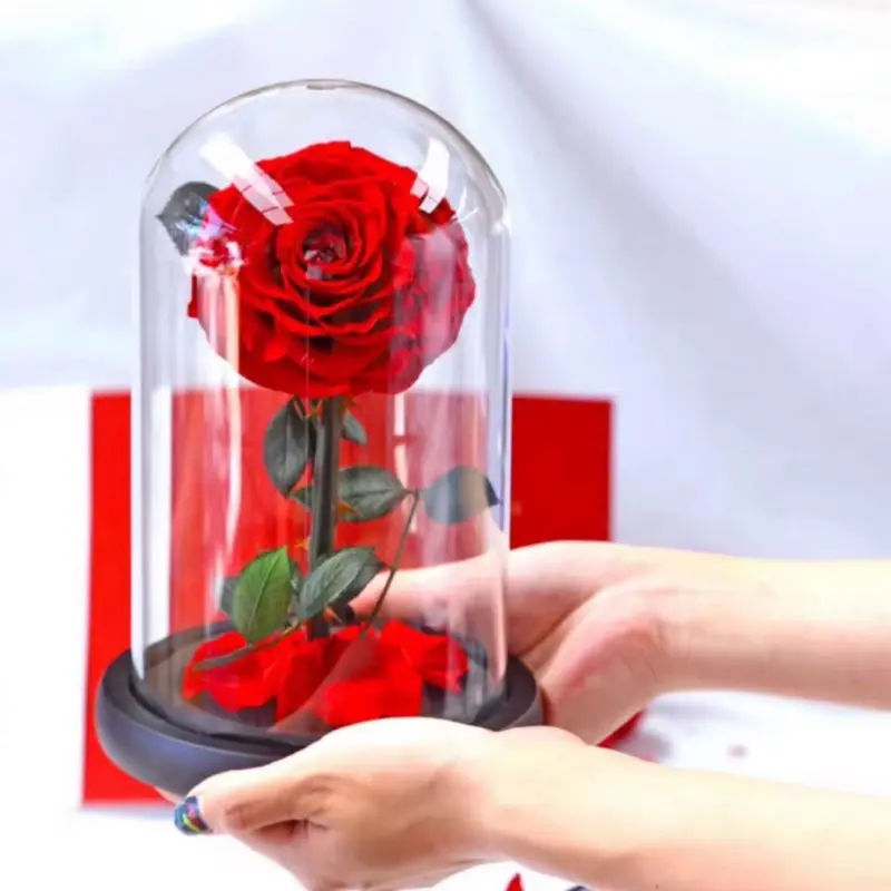 Preserved Rose in Glass Dome with Luxury Gift Box