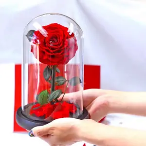 Preserved Rose in Glass Dome with Luxury Gift Box