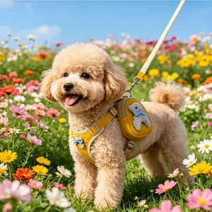 Pet Backpack Teddy Bichon Leash Cat Dog Harness Dog Leash Dog Walking Rope Dog Leash Dog Leash Pet Small and Medium-sized Dog Backpack Cat Harness Dog Leash Dog Walking Rope dog accessories dog chain cat accessories dog products dog harness for small dogs