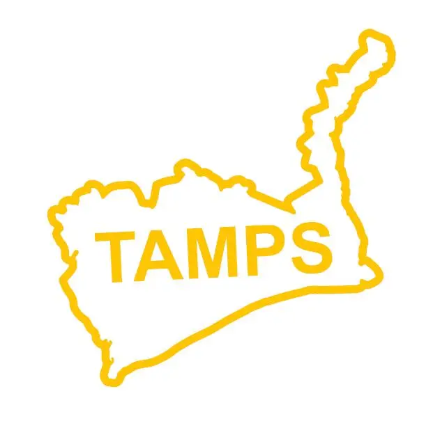 Mexican State Map Outline Tamaulipas Vinyl Decal Sticker UV & Waterproof Bumper Window Laptop Automotive Water Bottle Gift accessories – YELLOW 6.5"