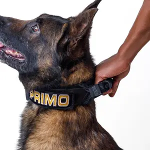 Agitach Control Handle for Enhanced Dog Control