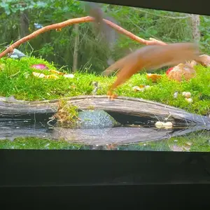 review image 6