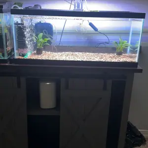 SEAOURA Clip On Aquarium Light for Plants 24/7 Cycle Fish Tank Lights with Timer Full Spectrum  Mode Auto On Off Adjustable Brightness and Height 20W 12inch for 12-20 inch Tank Brightness Fish Tank Light with for Planted Tank Aquatic Life  RGB Led