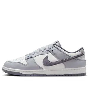 Nike Dunk Low SE 'Light Carbon' FJ4188-100