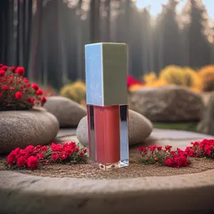 LipGloss “Paris” Hydrating Satin Lightweight High Pigmentation Long-lasting