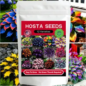 12000+Pcs Hosta Seed 12 Varieties Rare Heirloom Shade-Loving Seeds, Non-GMO Perennial Plants for Outdoor Garden Landscaping