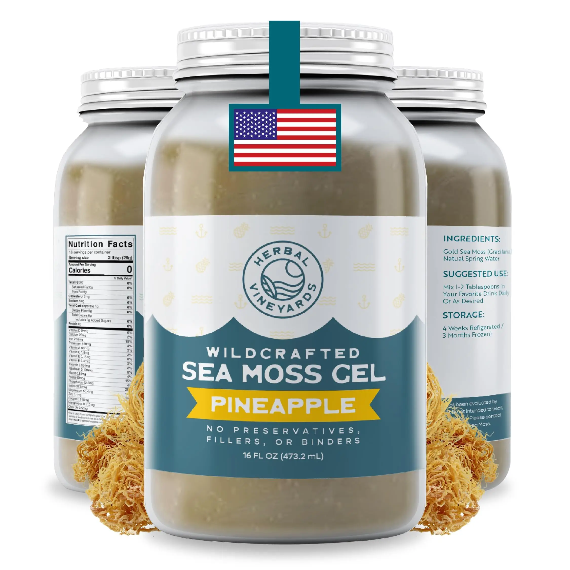 Herbal Vineyards Wildcrafted Pineapple Sea Moss Gel 16 Oz Jar - Made with Dried Seaweed & Fresh Sea Vegetables, Seamoss - Made in USA Flavor