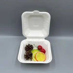 Clamshell Container, 6 x 6 inch,( burger) - Disposable & Compostable, Eco-Friendly Food Container