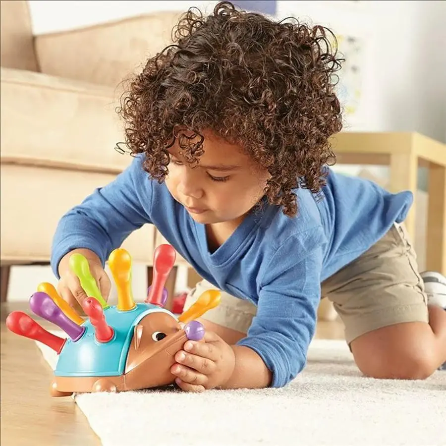 Cute Hedgehog Design Shape Sorter Toy, Color Recognition Concentration Training Toy, Educational Toy for Kids, Shape Sorting Game