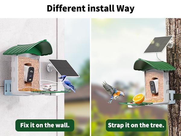 4G LTE Cellular Camera with Bird Feed, 1 Year Trial AI Identify HD Bird Watching Camera, 4 DIY Add-ons, Bird House with Solar Panel for Outdoor, 7800mAh Battery, Suitable for Bird Lover（4G DATA REFILL Required）