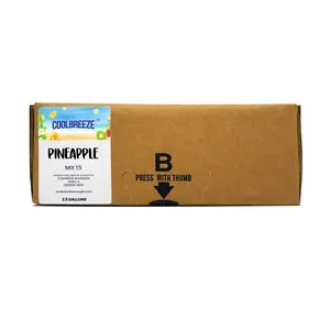 Coolbreeze® Beverages 2.5 Gallon Bag-In-Box Syrup Real Fruit Concentrate - Pineapple Juice