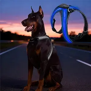 2026 LED Dog Harness Vest - USB Rechargeable Light Up Pet Clothing, Adjustable Night Running Safety Gear with High Visibility & Cool Glow