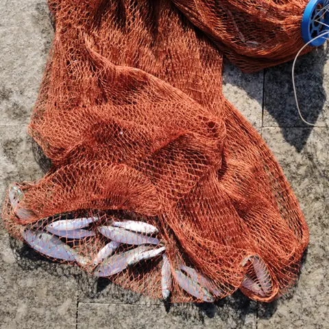 Saltwater Fishing Cast Net 3/8 inch Mesh Tire Lines 1lb/FT Size for Bait Shrimp Trap Fish Heavy Duty Sinkers Throw Net 4FT/5FT/6FT/7FT/8FT/ Radius