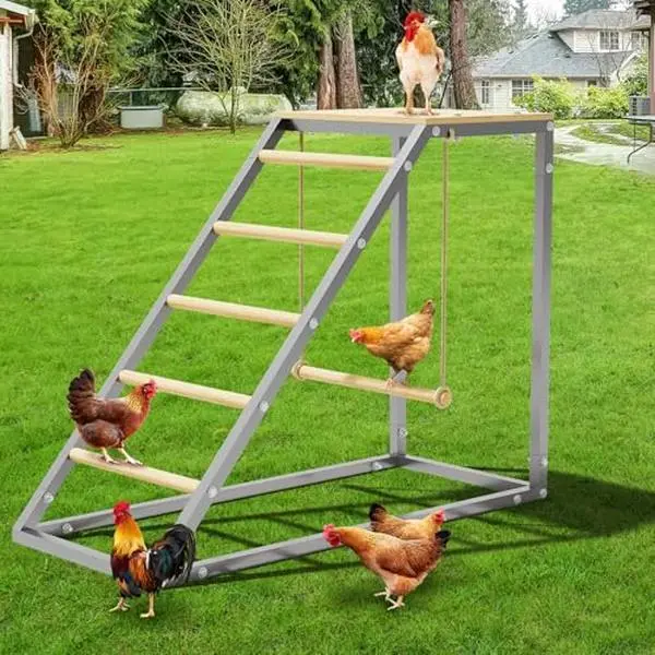 Free-Standing Chicken Perch, Chicken Roosting Bars with Removable Swing and Ladder Design for Backyard Farm, Chicken Perch for Coop, Easy Installation, 37.6" L x 15.7" W x 27.5" H