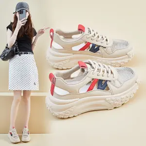 2025 Summer New Hollow-out Dad Shoes Women's Mesh Breathable Student Ins Trendy Casual Platform Height Increasing