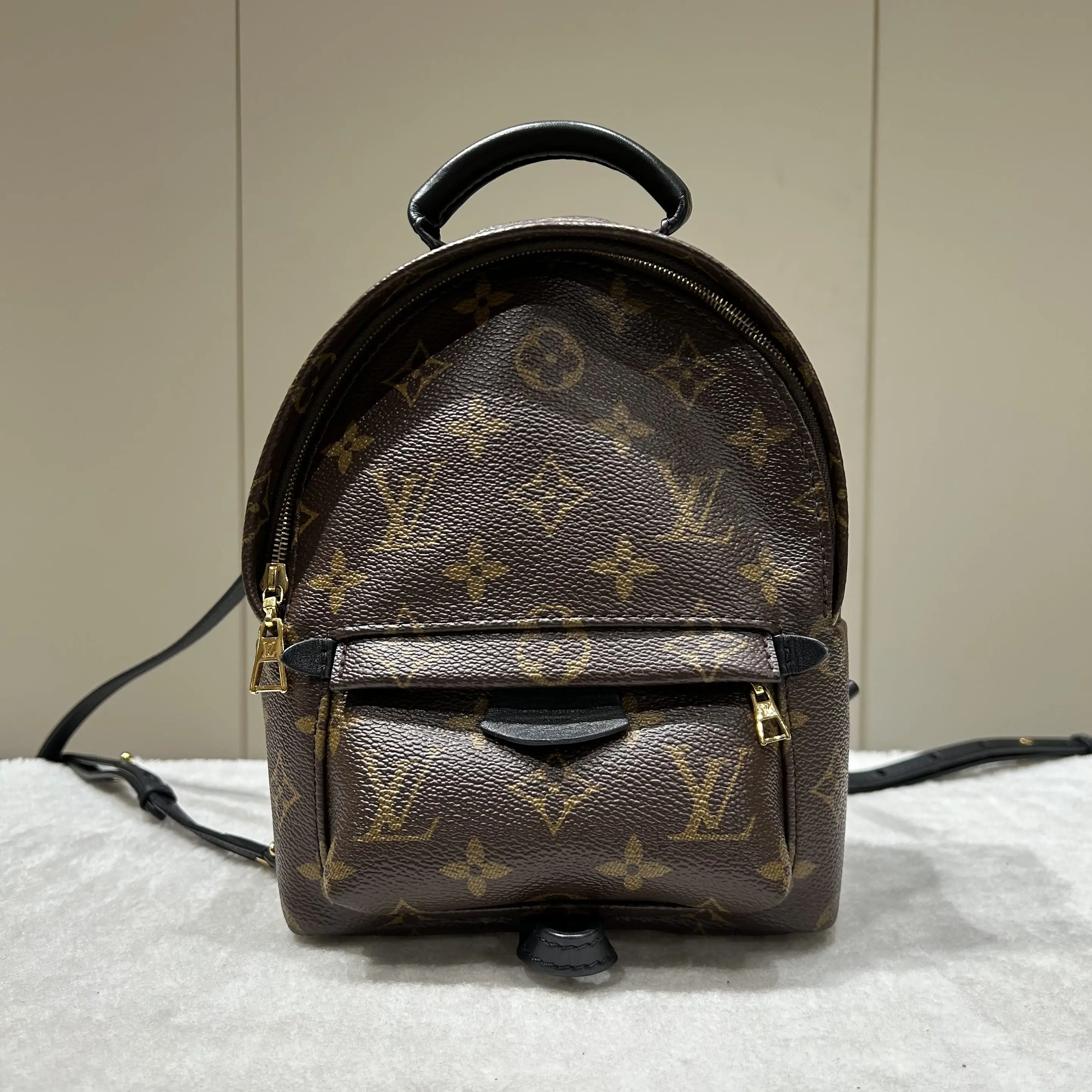 Pre-owned Louis Vuitton canvas Belt bags Palm Springs Mini Iconic Monogram Waterproof Coated Mini Backpack 31606605