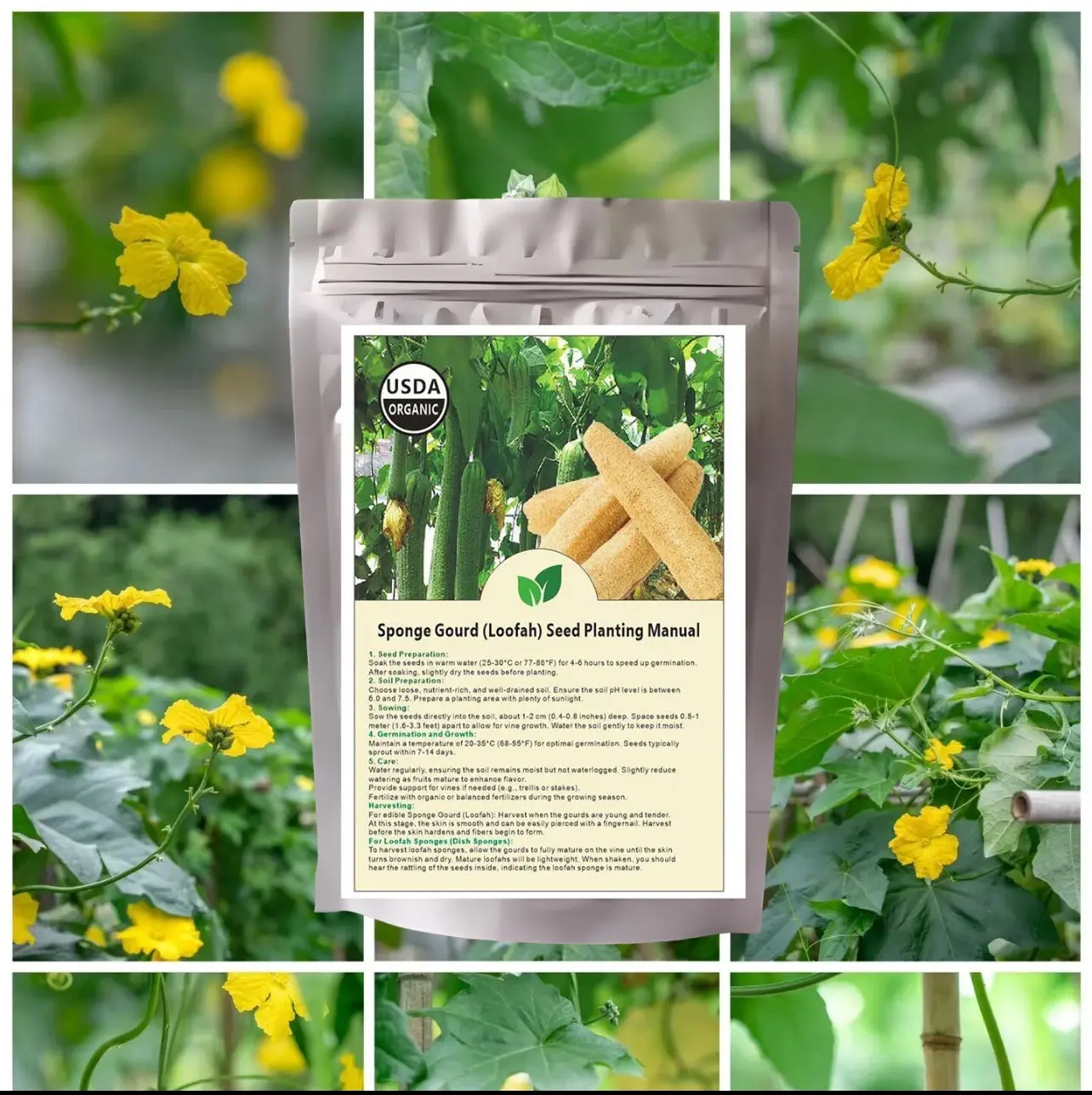 Loofah seeds (30 seeds) Homegrown loofah seeds, home grown, outdoor grown  Luffa Gourd, Non-GMO Vegetable Seed for Planting Home Garden - TikTok Shop