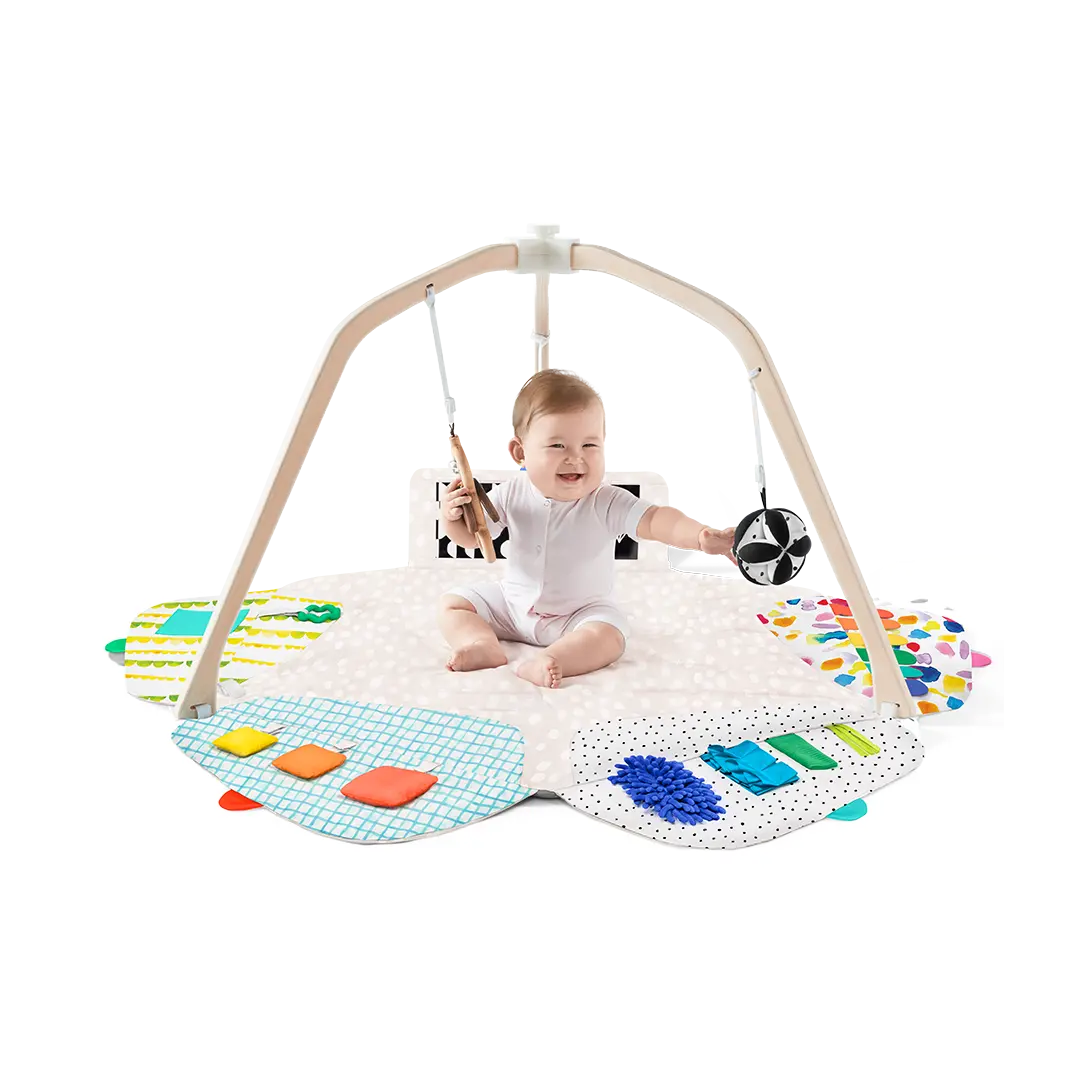 Lovevery The Play Gym with Colorful Play Mat, Wooden Frame, and Colorful Accessories Lovevery The Play Gym with Colorful Play Mat, Wooden Frame, and Colorful Accessories