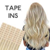 #17/22/60 Ash Golden Blonde Balayage Platinum