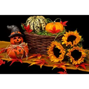Halloween Pumpkin & Sunflower Diamond Painting