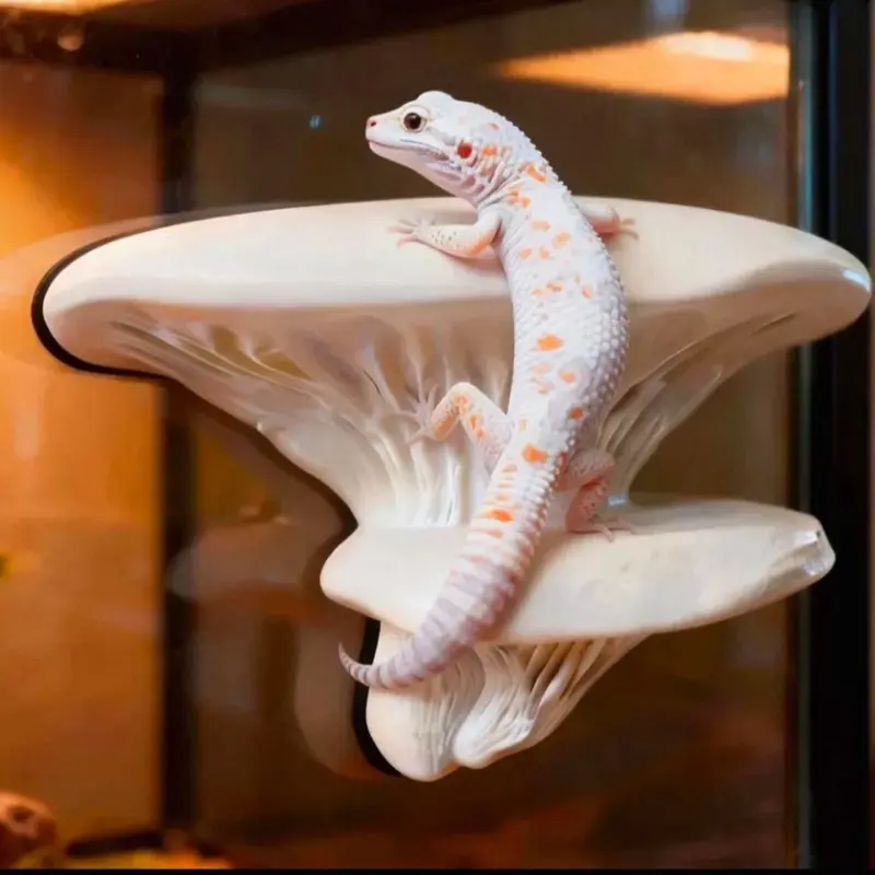 Magnetic Mushroom Ledge for Reptile Climbing and Decoration