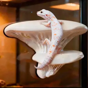 Magnetic Mushroom Ledge for Reptile Climbing and Decoration