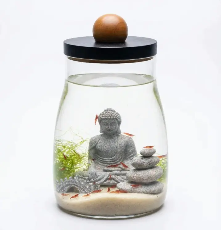 Zen Self sustainable Ecosystem with LED Light (30 Opae ʻUla)