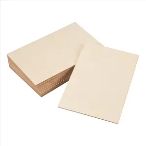 15 Pack Unfinished Wood Sheets,Wood Thin Wood Board for House Aircraft Ship Boat Arts and Crafts,DIY Ornaments