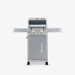 Mesa 200S | Foldable Stainless Gas Grill