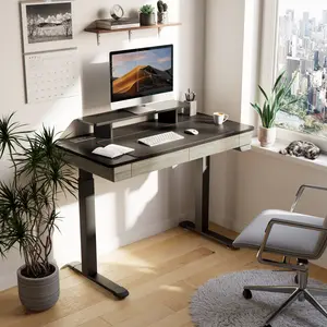 Standing Desk with Drawers, Wood Finish (47''/55'')