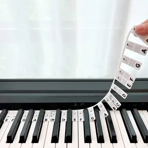Removable Piano Keyboard Stickers, Full Size Note Labels for 88/61 Keys, Reusable Beginner Piano Guide with Box