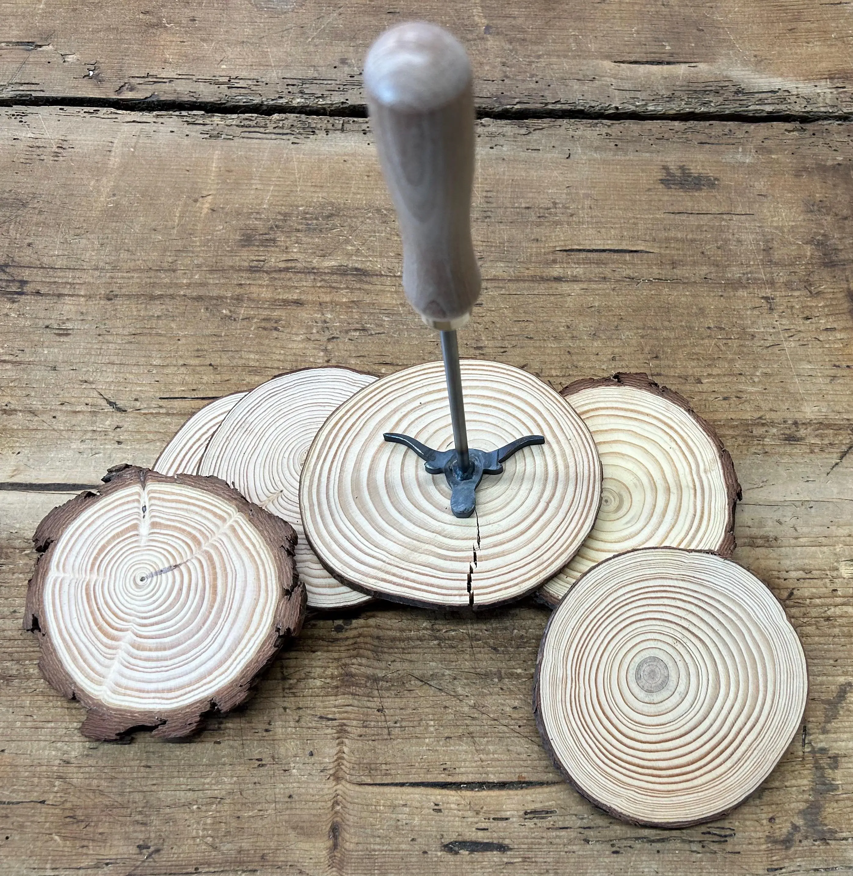 Longhorn Branding Iron - Brand that leather, wood, and meat Utensils Customized
