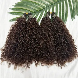 RHEANNA Feather Crochet Human Hair Ombre 1b 4 Afro Kinky Curly For Black Women Pre Seperated Crochet Human Hair Extensions Knotless
