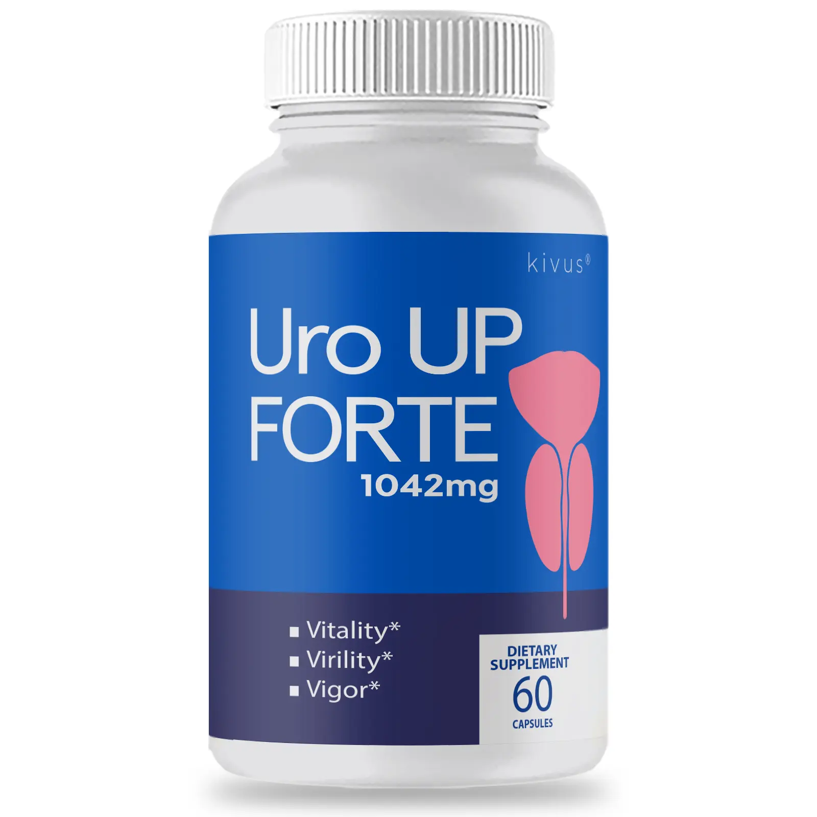 Uro Up Forte - UroUpForte Dietary Supplement Capsules