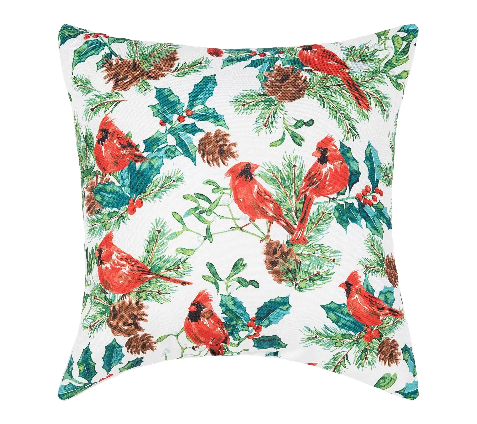 C&F Home Delwyn Cardinal Pillow
