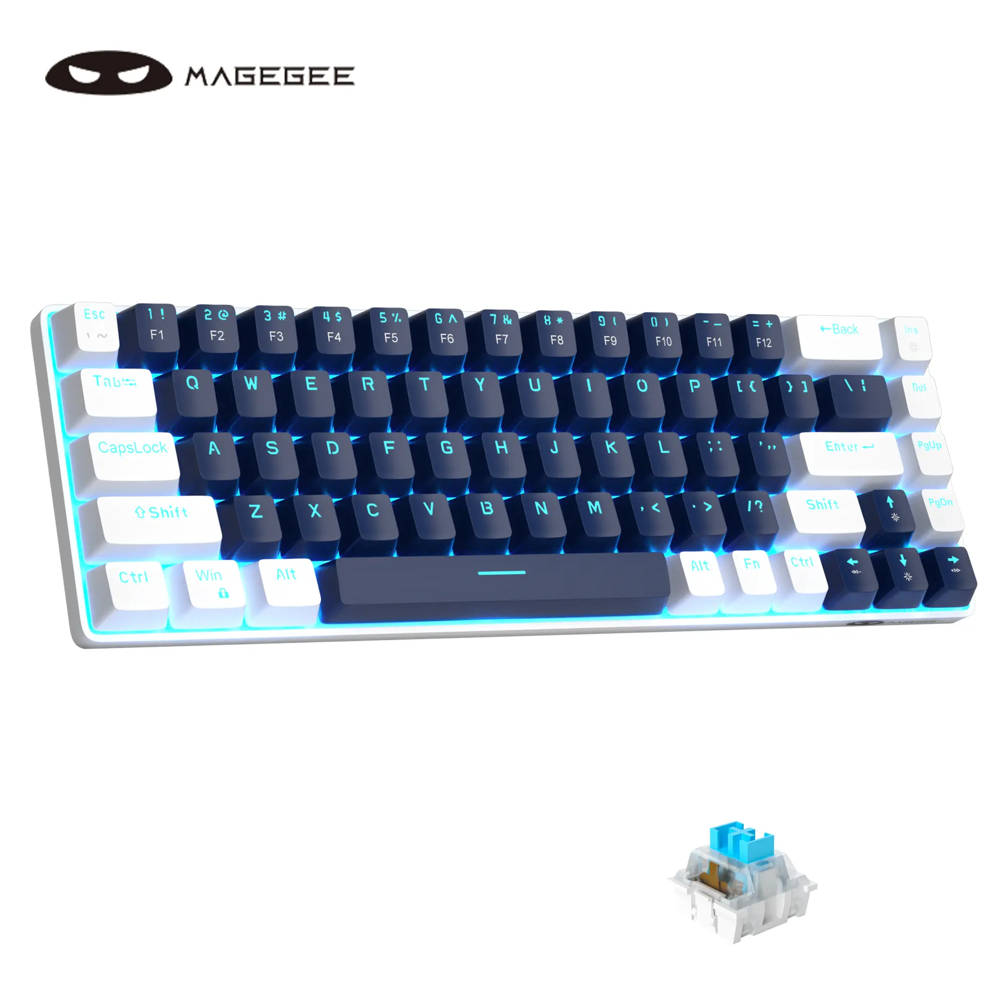 White Blue【Blue Switch】