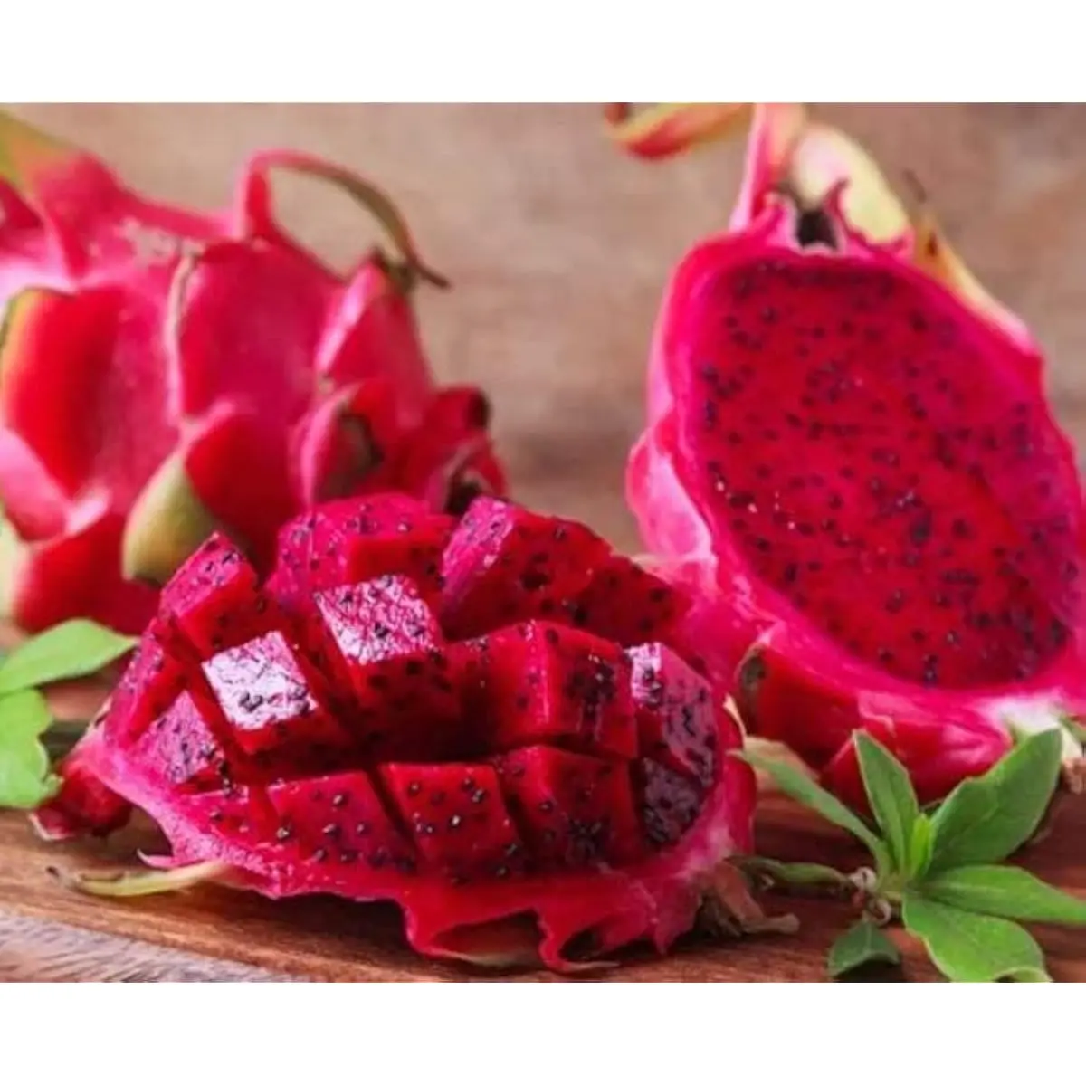 250 Rare Red Dragon Fruit Seeds (Hylocereus costaricensis), Heirloom Non-GMO Organic Pitaya Seeds, High Germination Exotic Fruit Seeds for Home Garden & Outdoor Growing