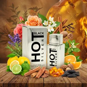 Bernard Dimitri Hot Black Silver Eau De Parfum Spray For Men 3.4 Ounce