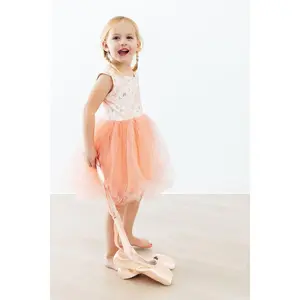 Blush Ballet Tank Tutu Dress