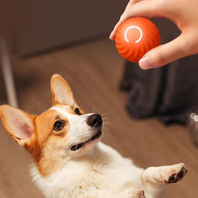 Pet Dog Rubber Ball Toys For Dogs Resistance To Bite Dog Chew Toys Puppy Pets Dogs Training Products