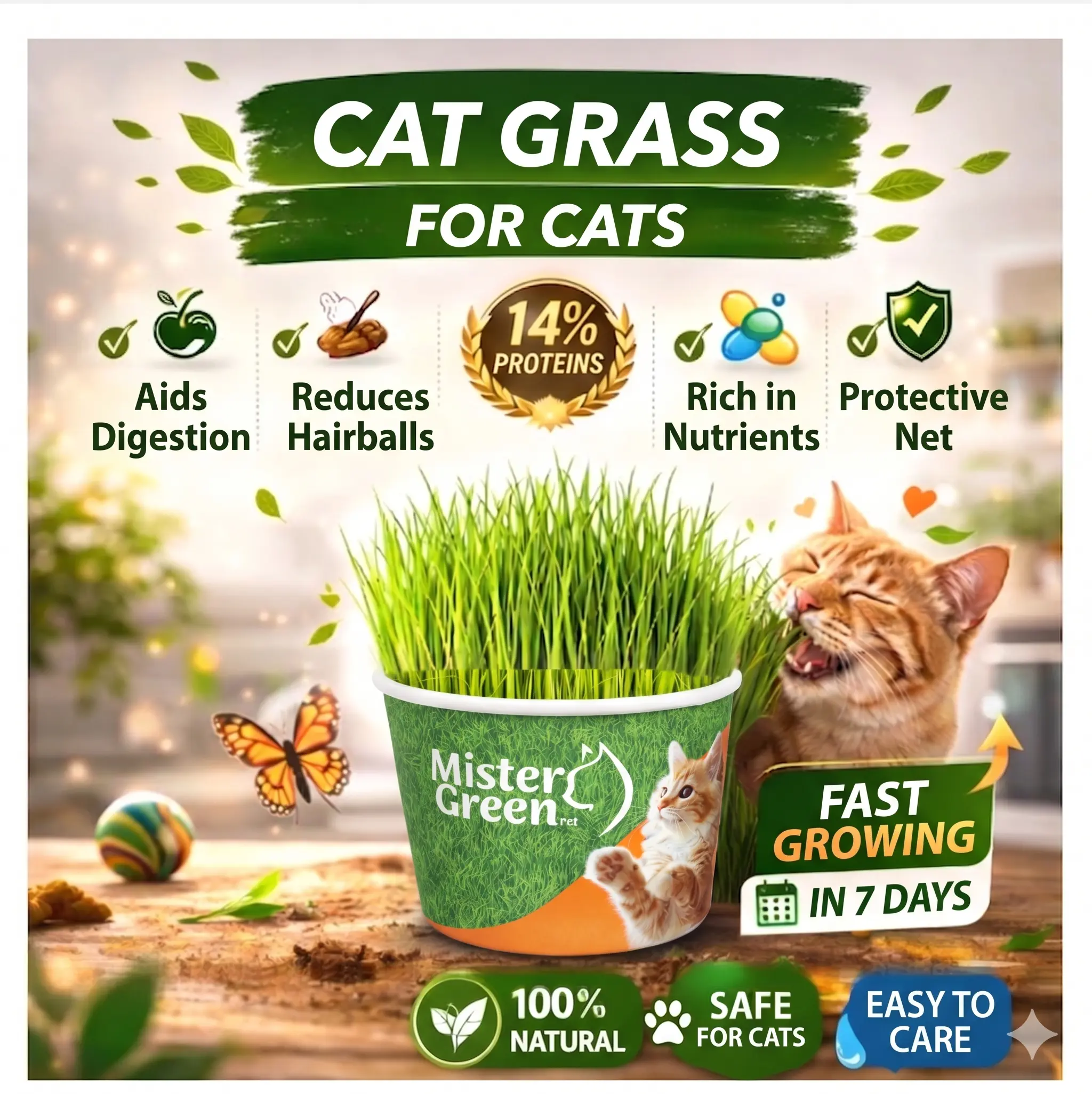 Cat Grass Grow Kit for Cats – Organic Indoor Cat Grass  Easy Home Growing Kit – Supports Digestion & Natural Hairball Control – Safe Non-Toxic Fresh Pet Grass for Indoor Cats – Natural Enrichment Plant for Daily Wellness & Behavior