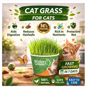 Cat Grass Grow Kit for Cats – Organic Indoor Cat Grass  Easy Home Growing Kit – Supports Digestion & Natural Hairball Control – Safe Non-Toxic Fresh Pet Grass for Indoor Cats – Natural Enrichment Plant for Daily Wellness & Behavior